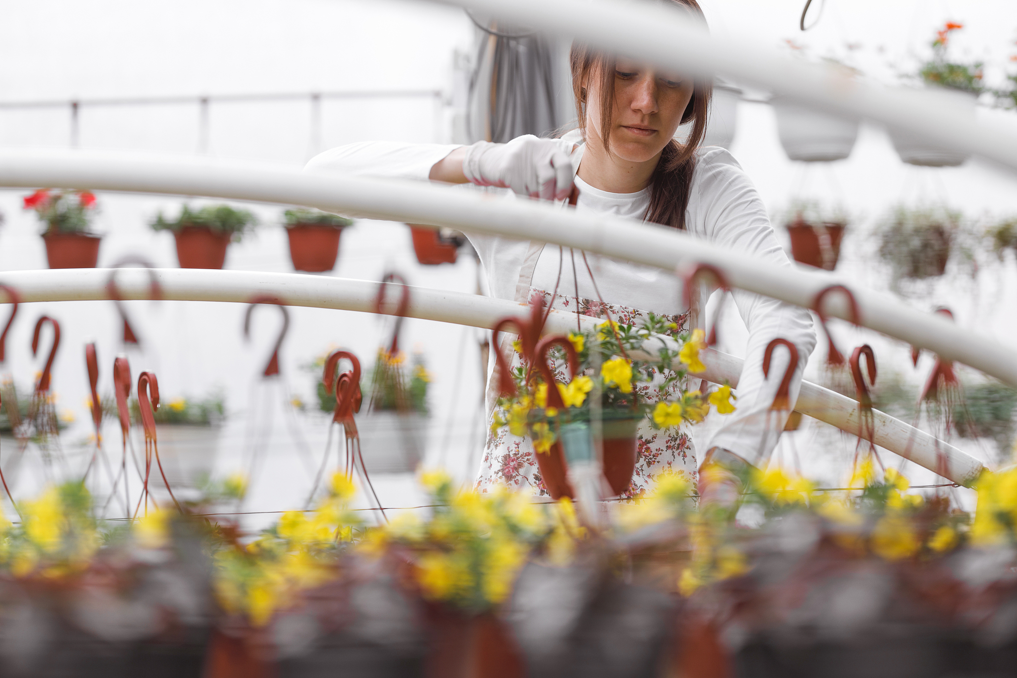 flower nursery