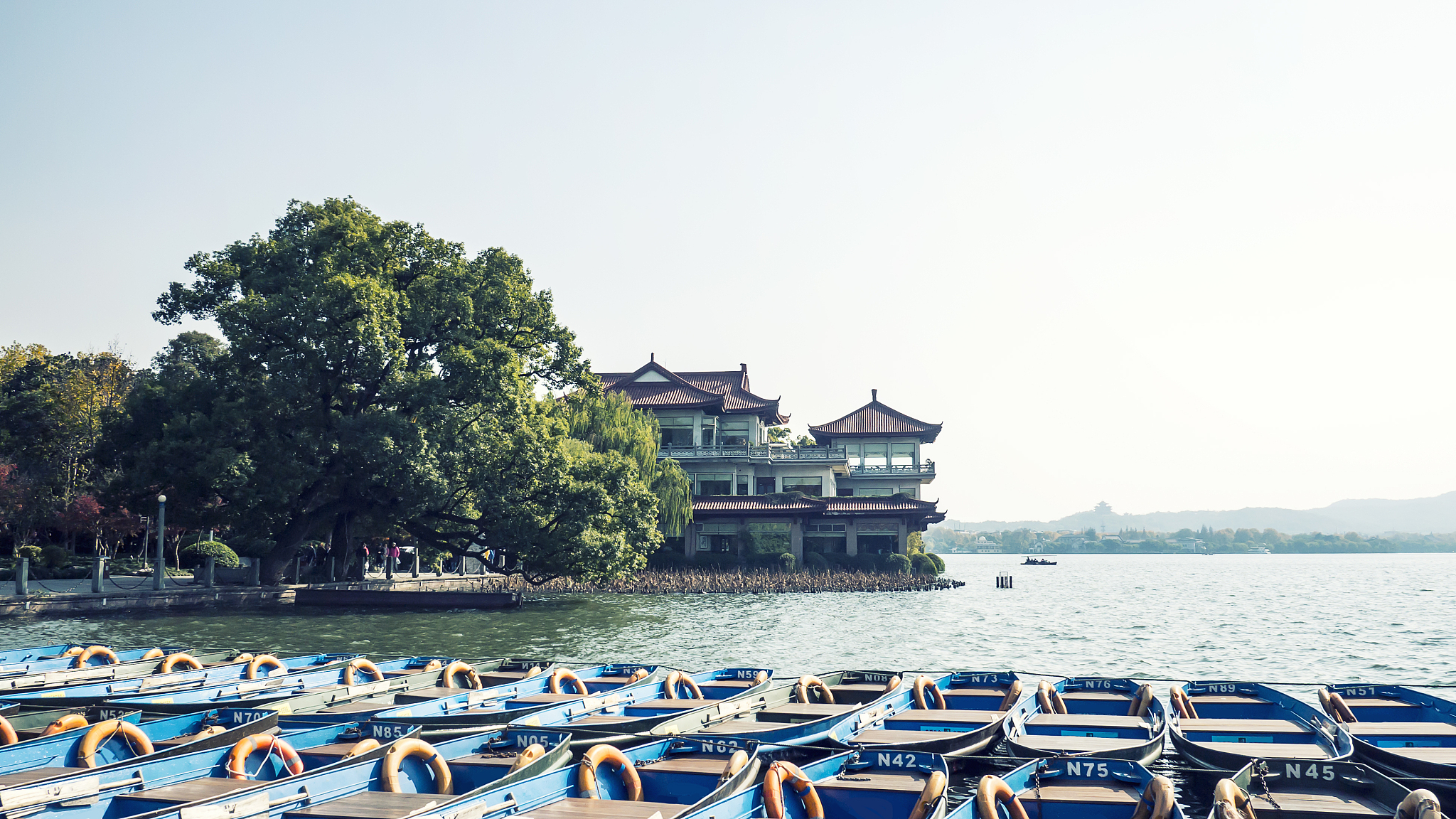 杭州职达外国语学院2021年招生简章