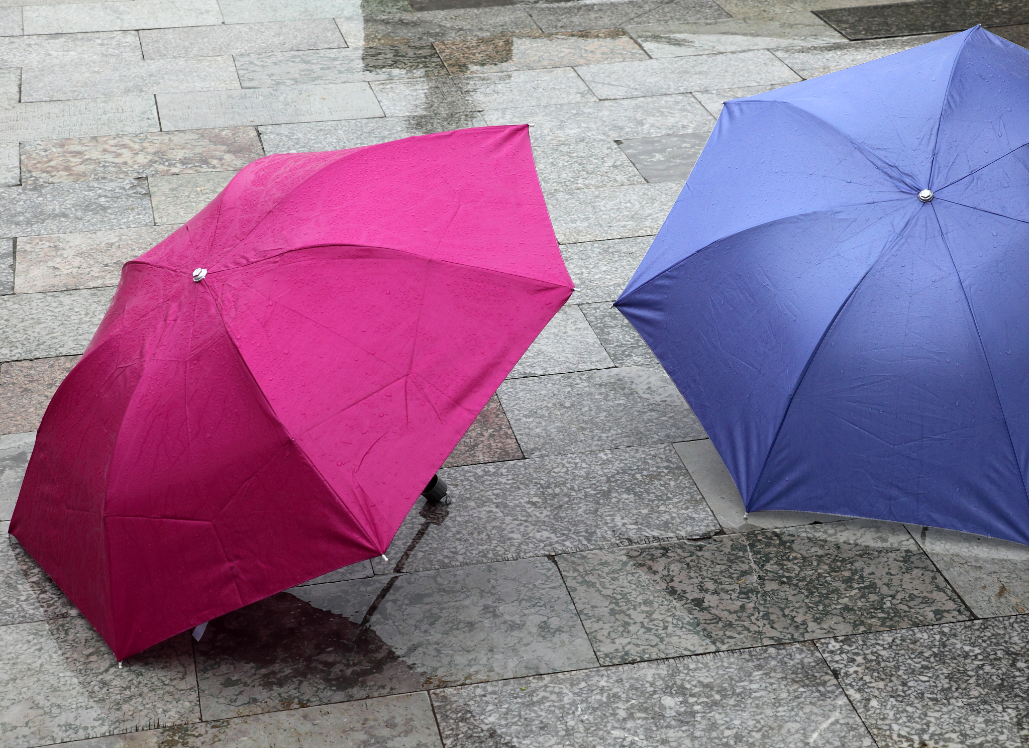 umbrellas in the spring  rain