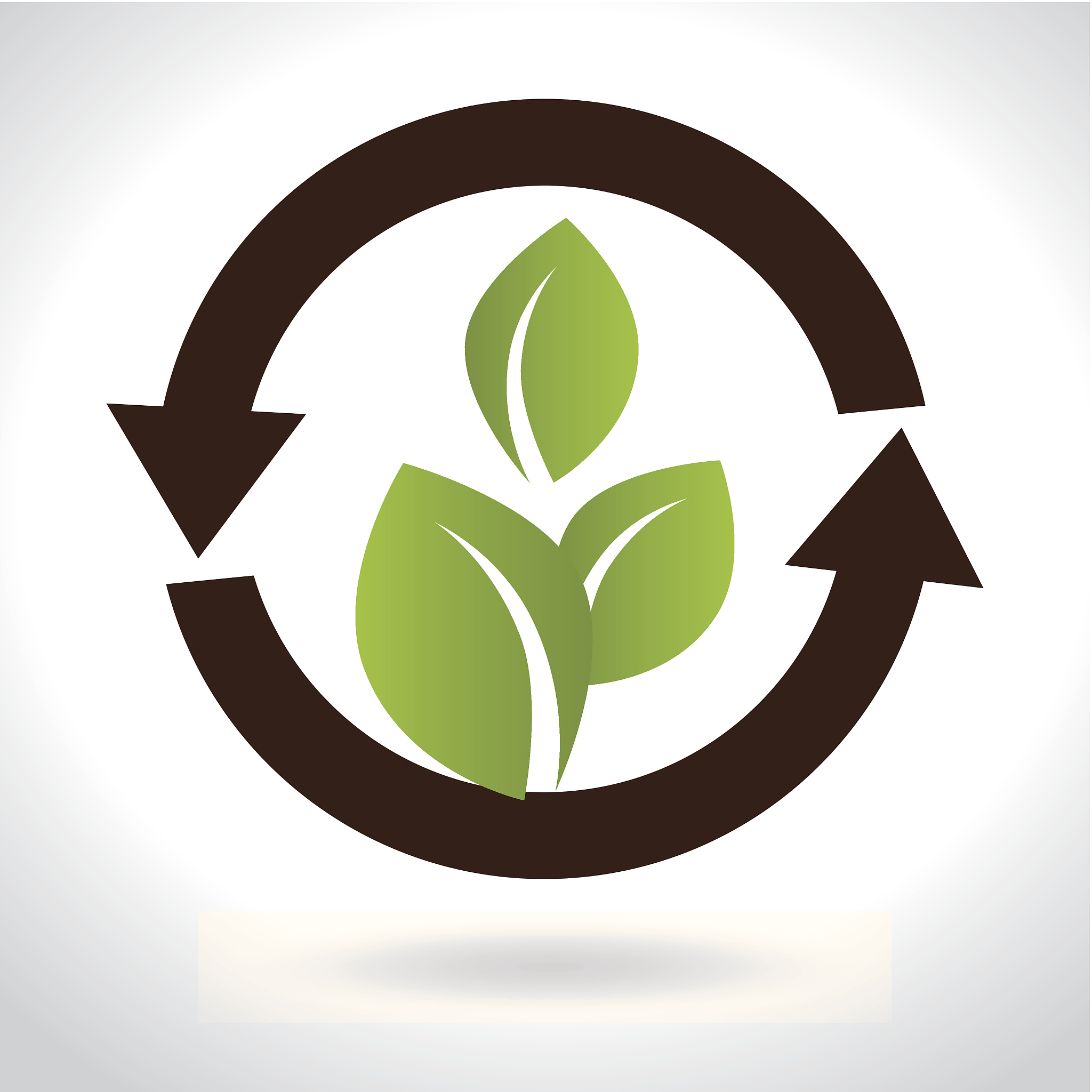 ecology design
