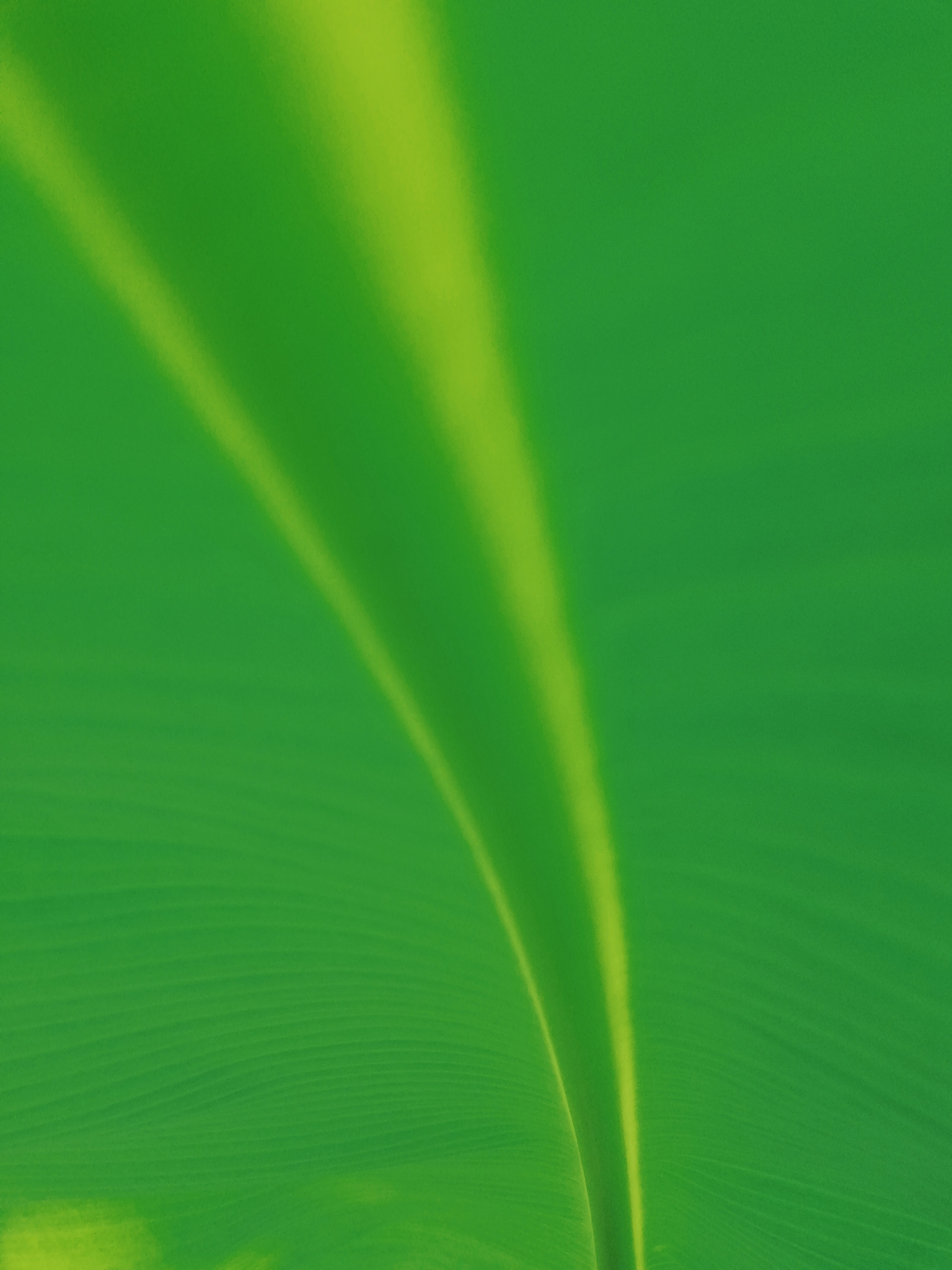 眼睛越来越近视？试试这些方法缓解视疲劳！