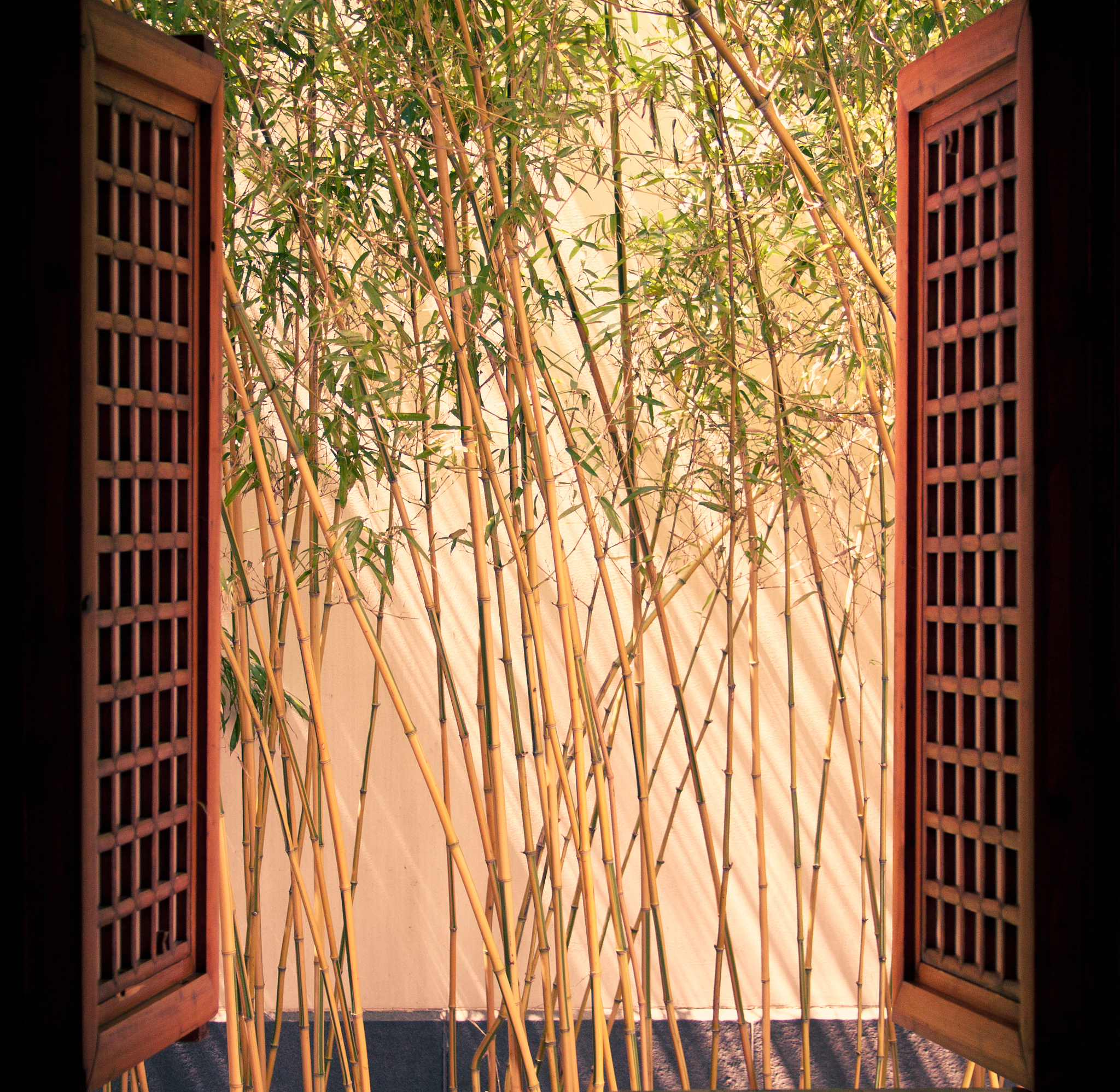 小院青青树影斜，哪些古诗词以‘小院’开头，描绘了哪些意境？