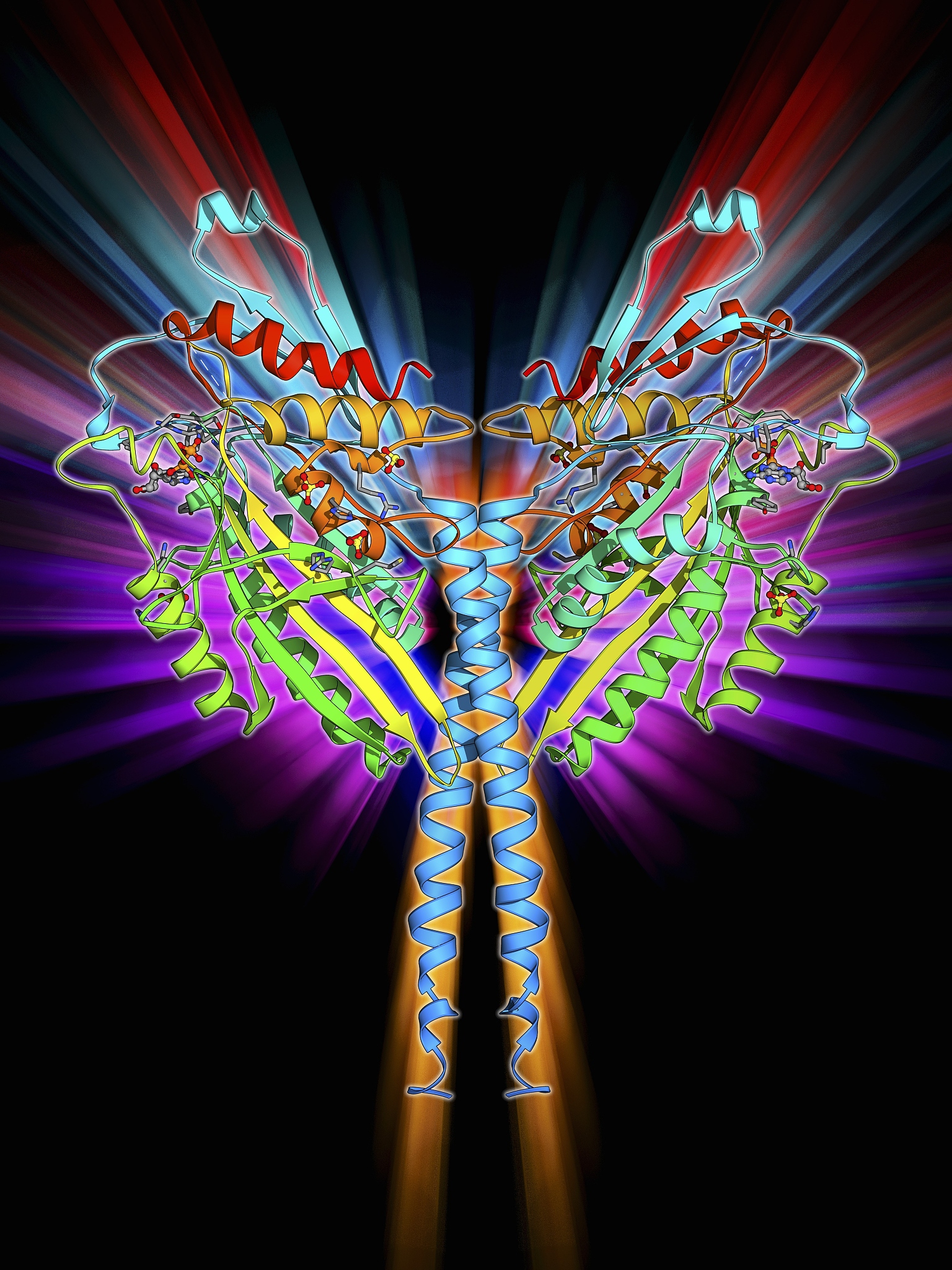 小分子与蛋白质区别：大小、结构、功能、途径、稳定性