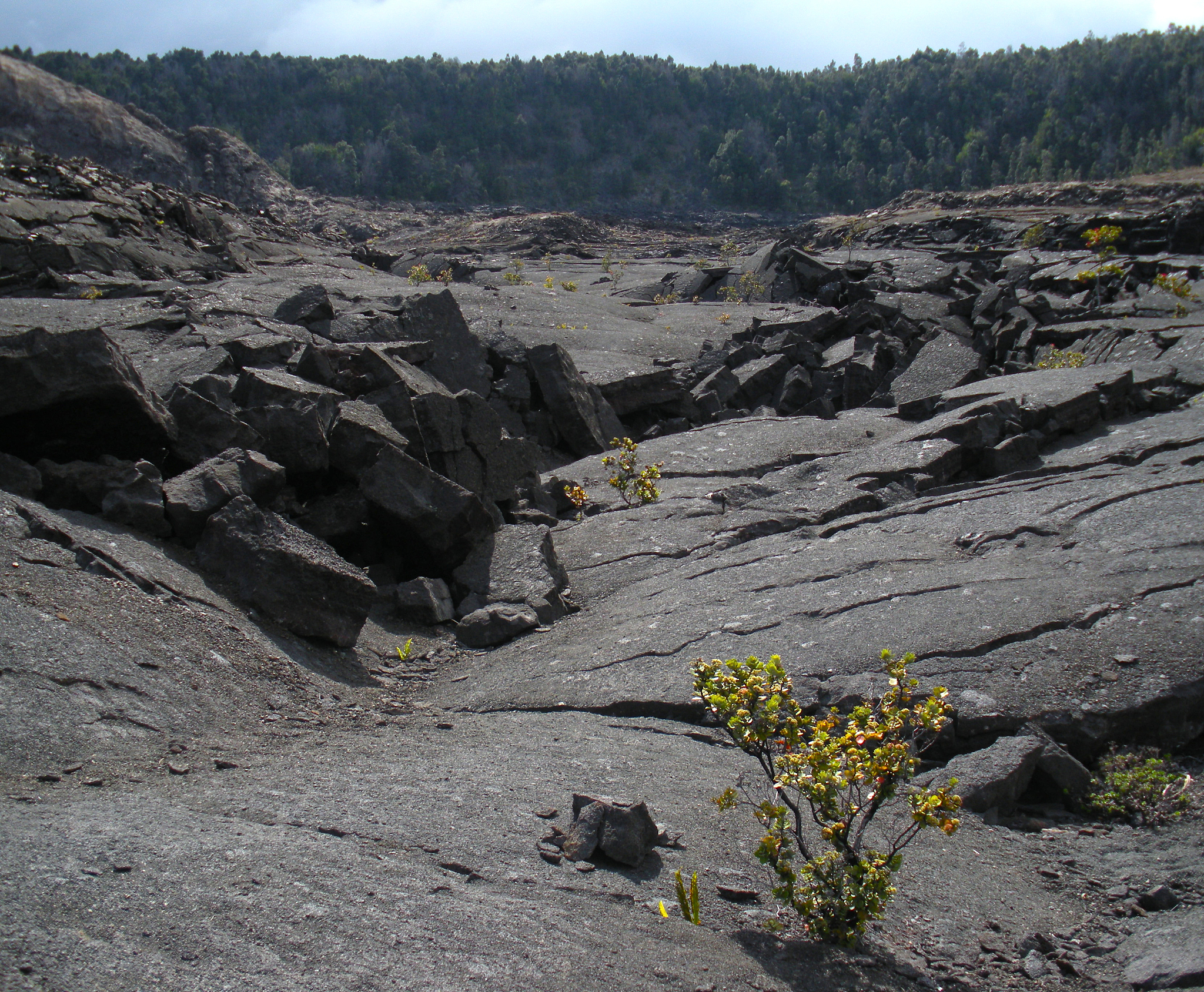 晚侏罗世是福建中生代火山活动的鼎盛时期火山喷发强烈而频繁规模宏大而晚侏罗世火山岩的成因和构造环境是火山岩研究的热点之一。。换个类似的说法