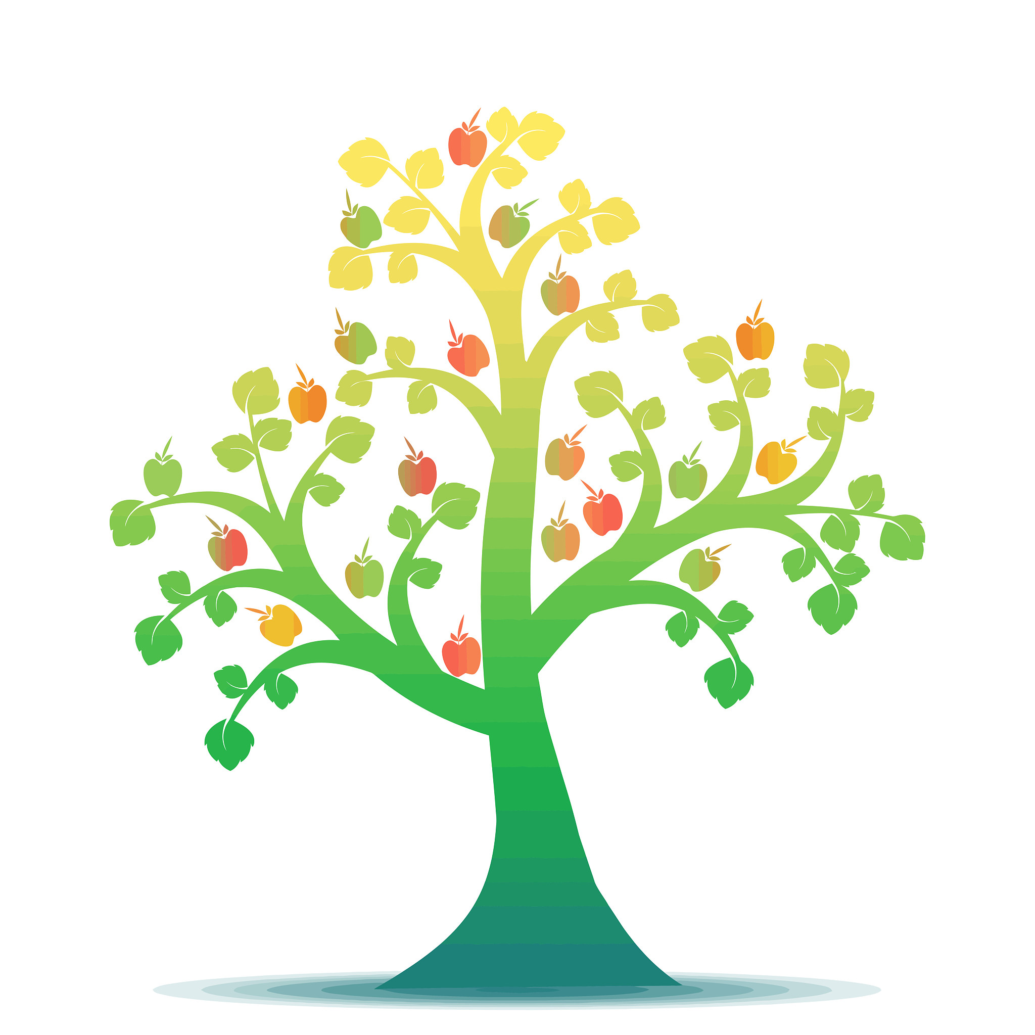 apple tree