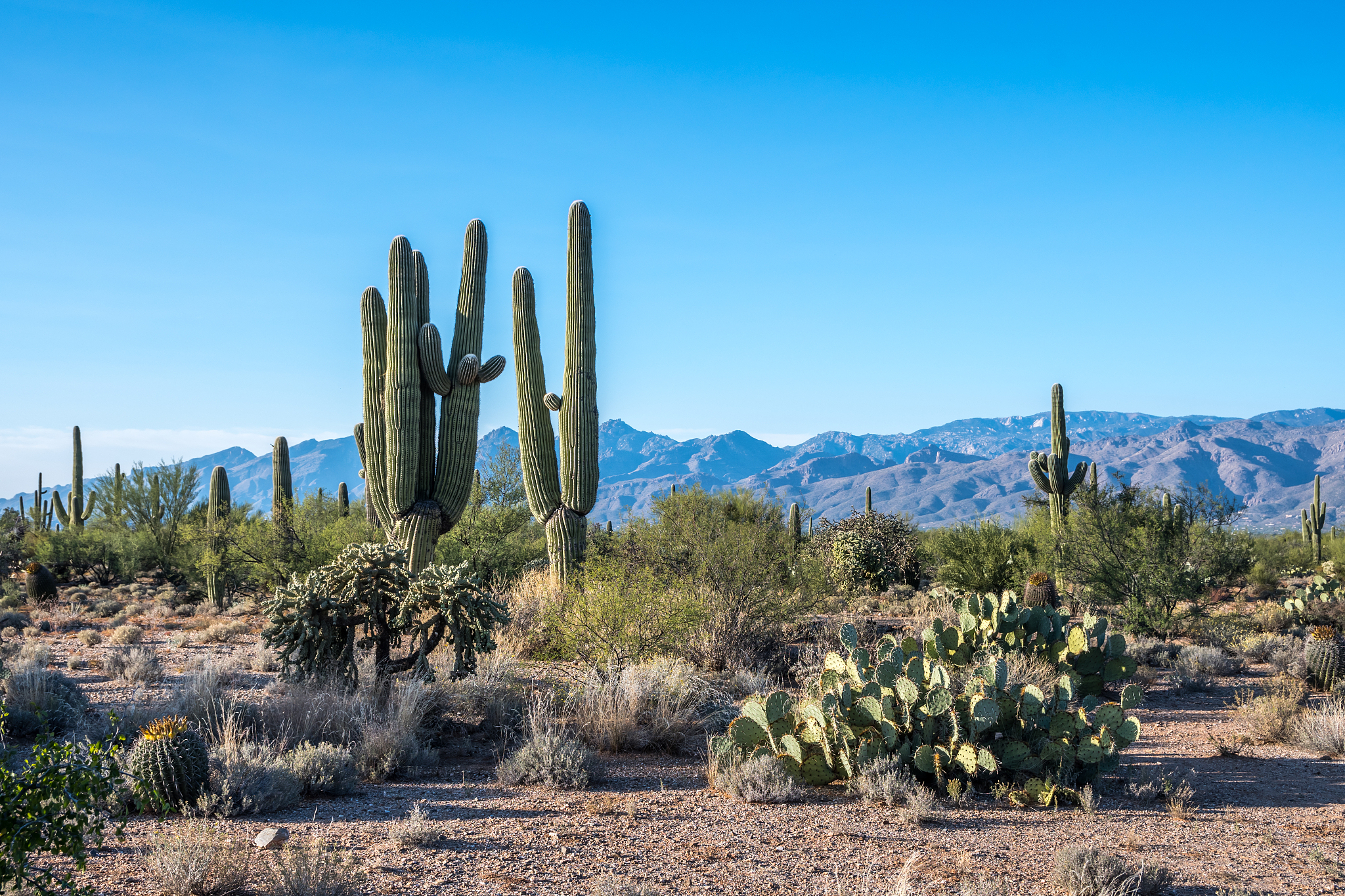 reescribir el siguiente texto utilizando un tono cercano y en español neutro ¿Cuánto tarda un Cerrajero en llegar en ArroyomolinosUna vez que contactes con nuestros cerrajeros enviaremos a uno de nues