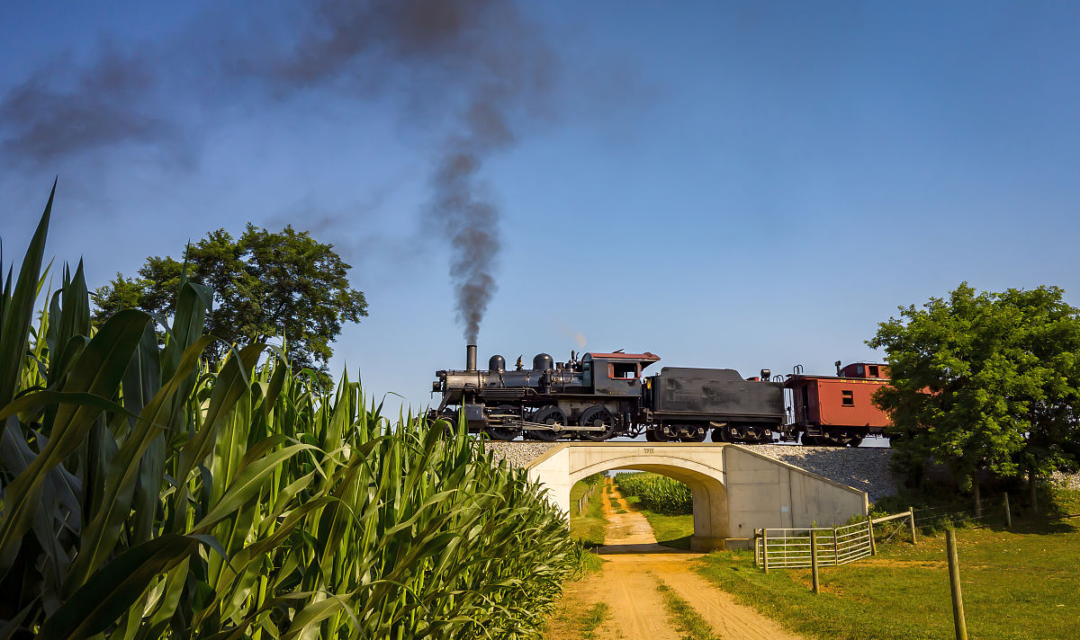 文物修复与保护专升本考什么