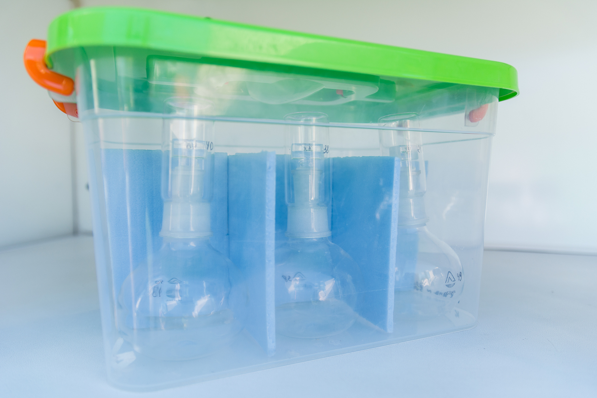 档案整理合同书