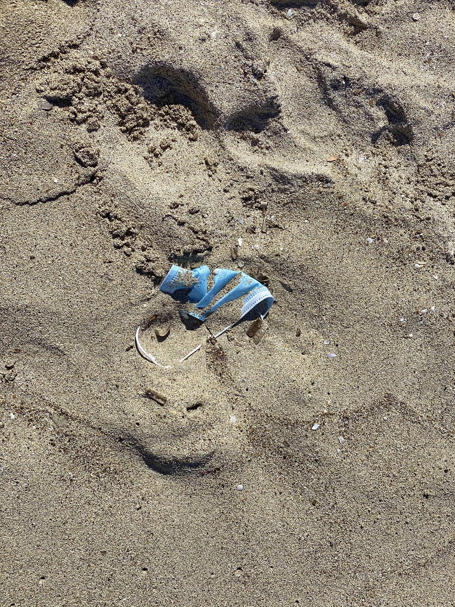 初中化学水的净化教学案例：实验探究与实践应用