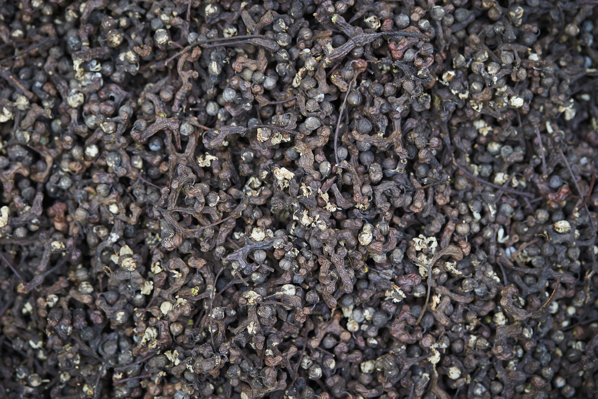 逐条分析中医药行业的主要竞争对象