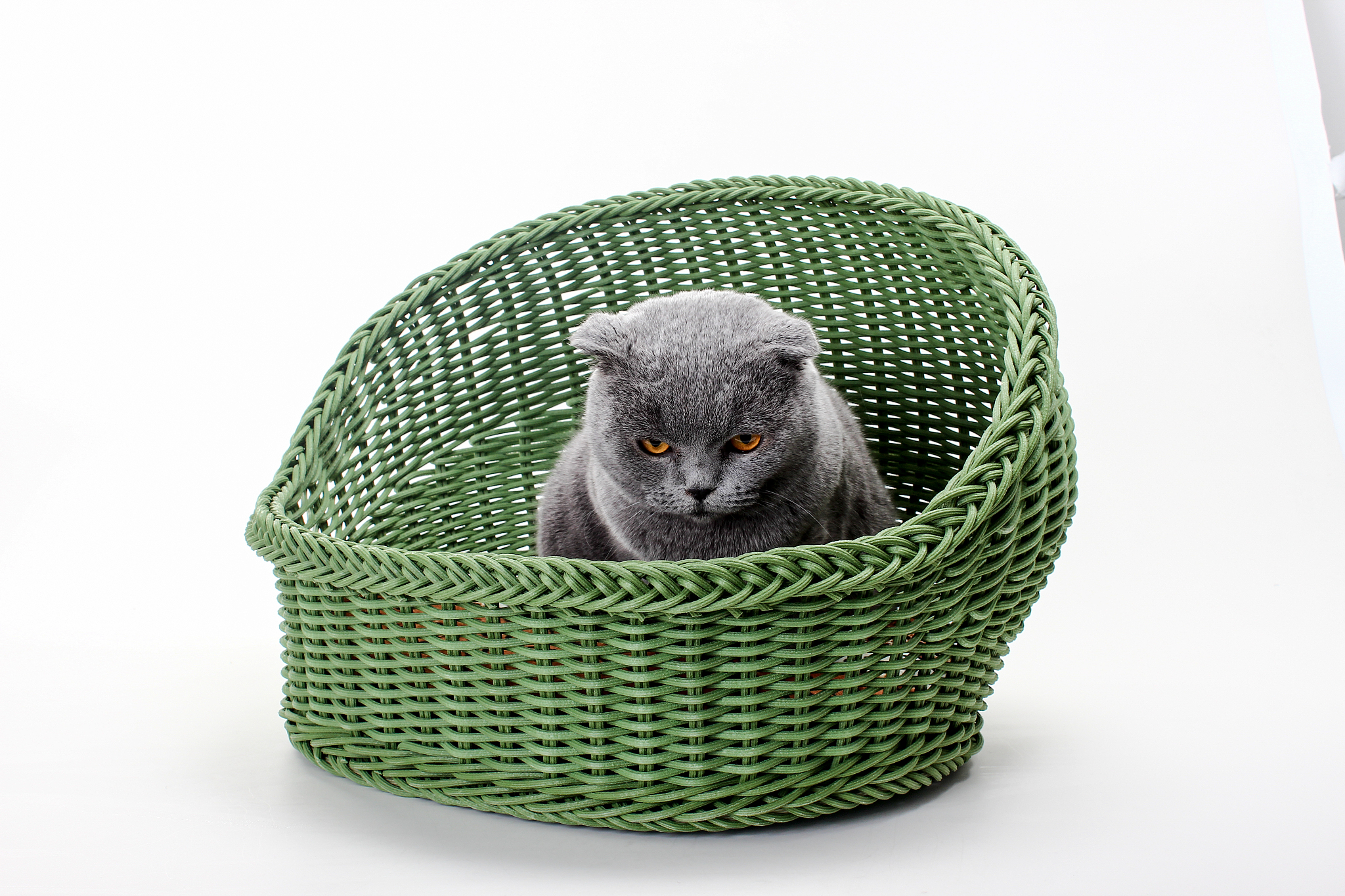编织猫窝：为您的爱猫打造温暖舒适的家
