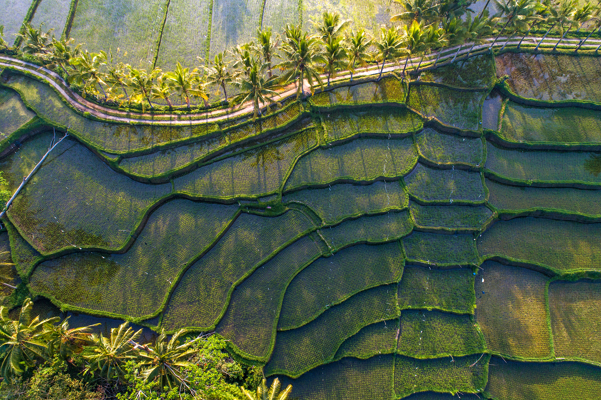 平凉航空农业学校航空无人机管理-招生报名知识