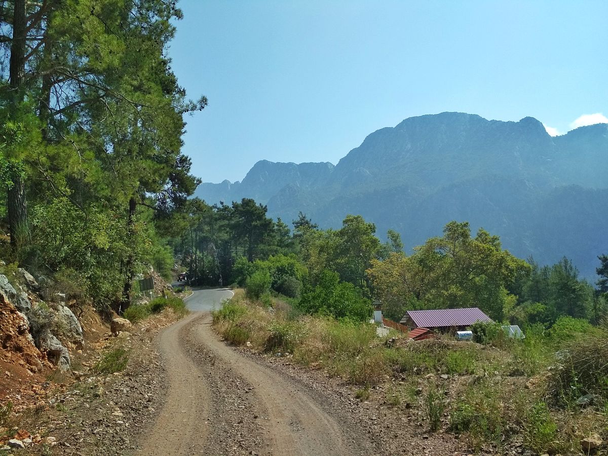 偏远山区医疗点配置和道路维修问题解决方案研究