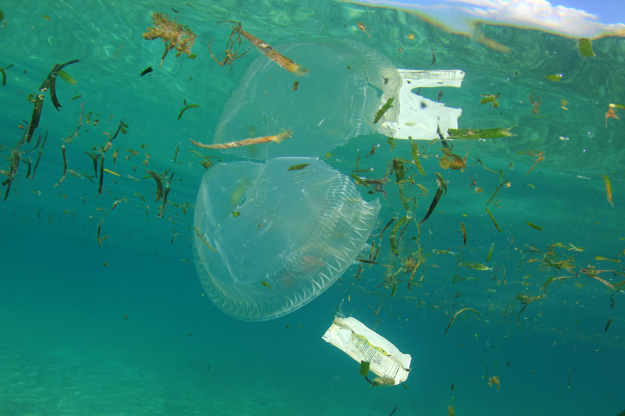 Marine Pollution Bulletin期刊指南：出版商、周期和历史