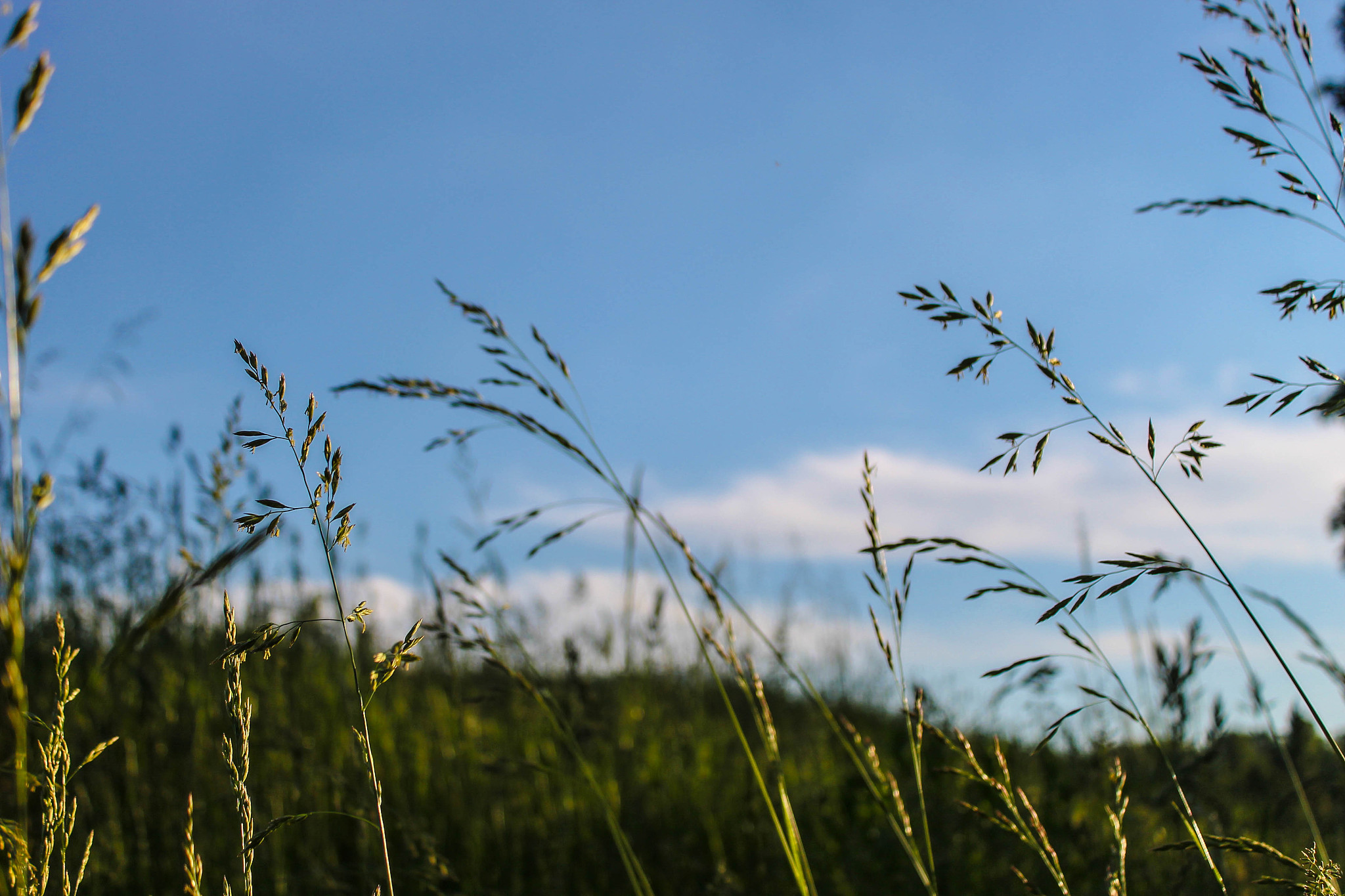《九九艳阳天》歌曲歌词 - 充满希望与力量的中国歌曲