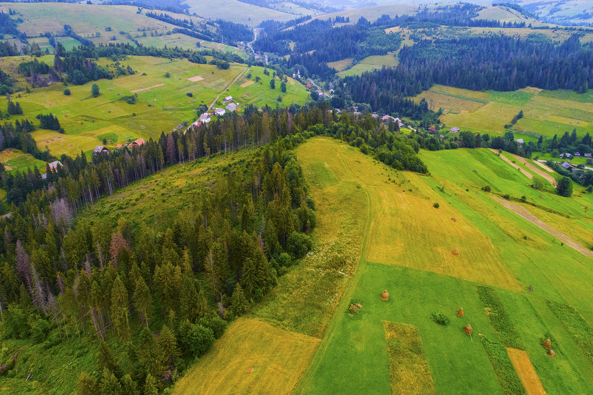 forests, meadows  and hills of the carpathian mountains taken wi
