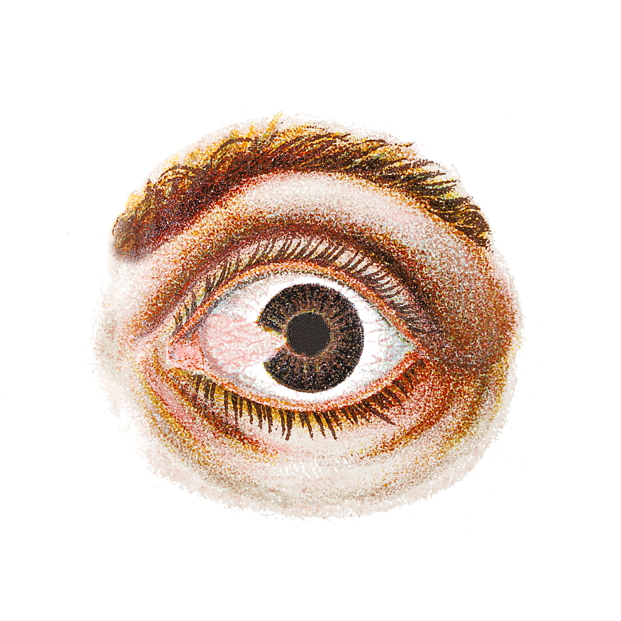 消旋山莨菪碱滴眼液的功效与作用