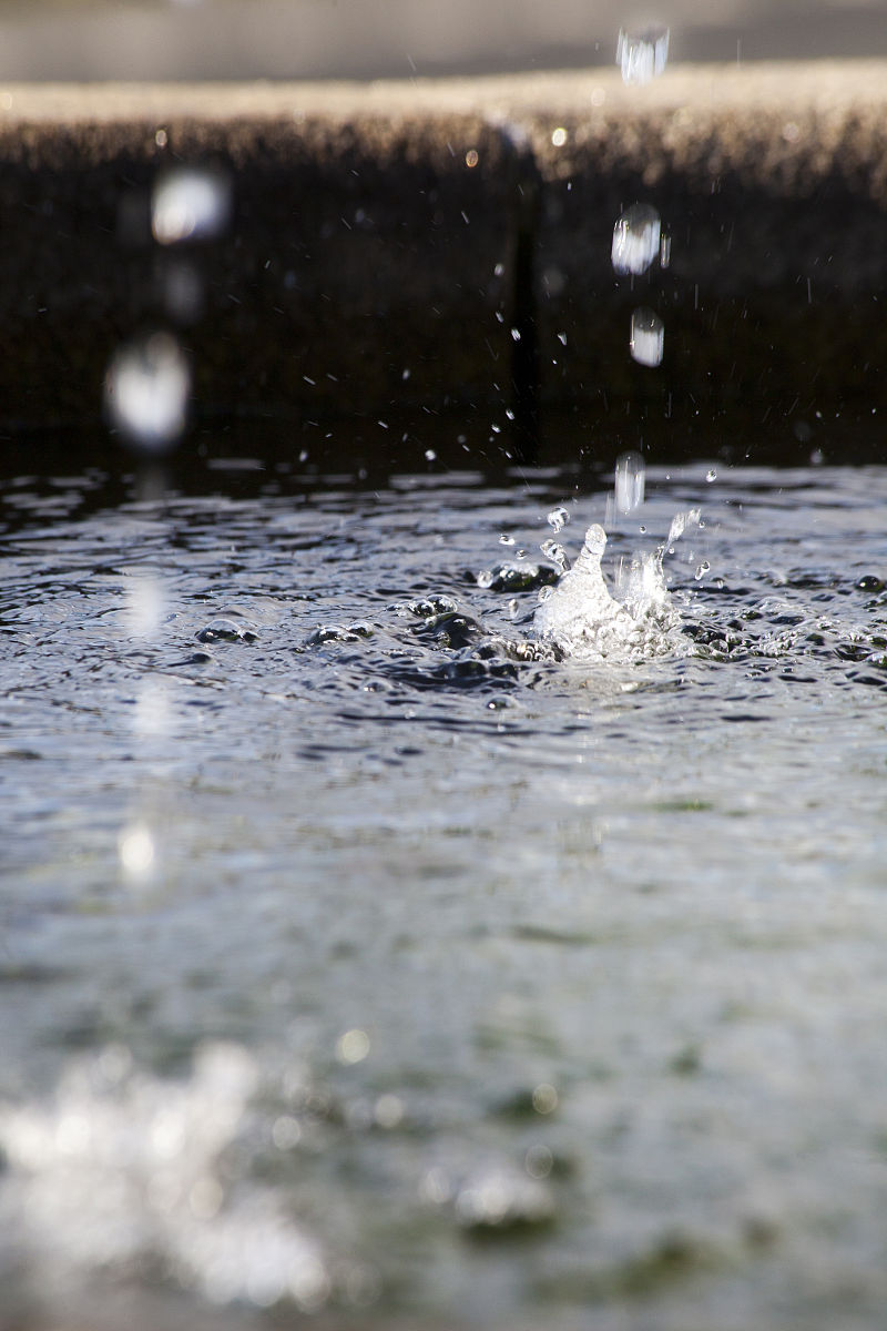 PO字母组合能组成哪些单词？全列出来！