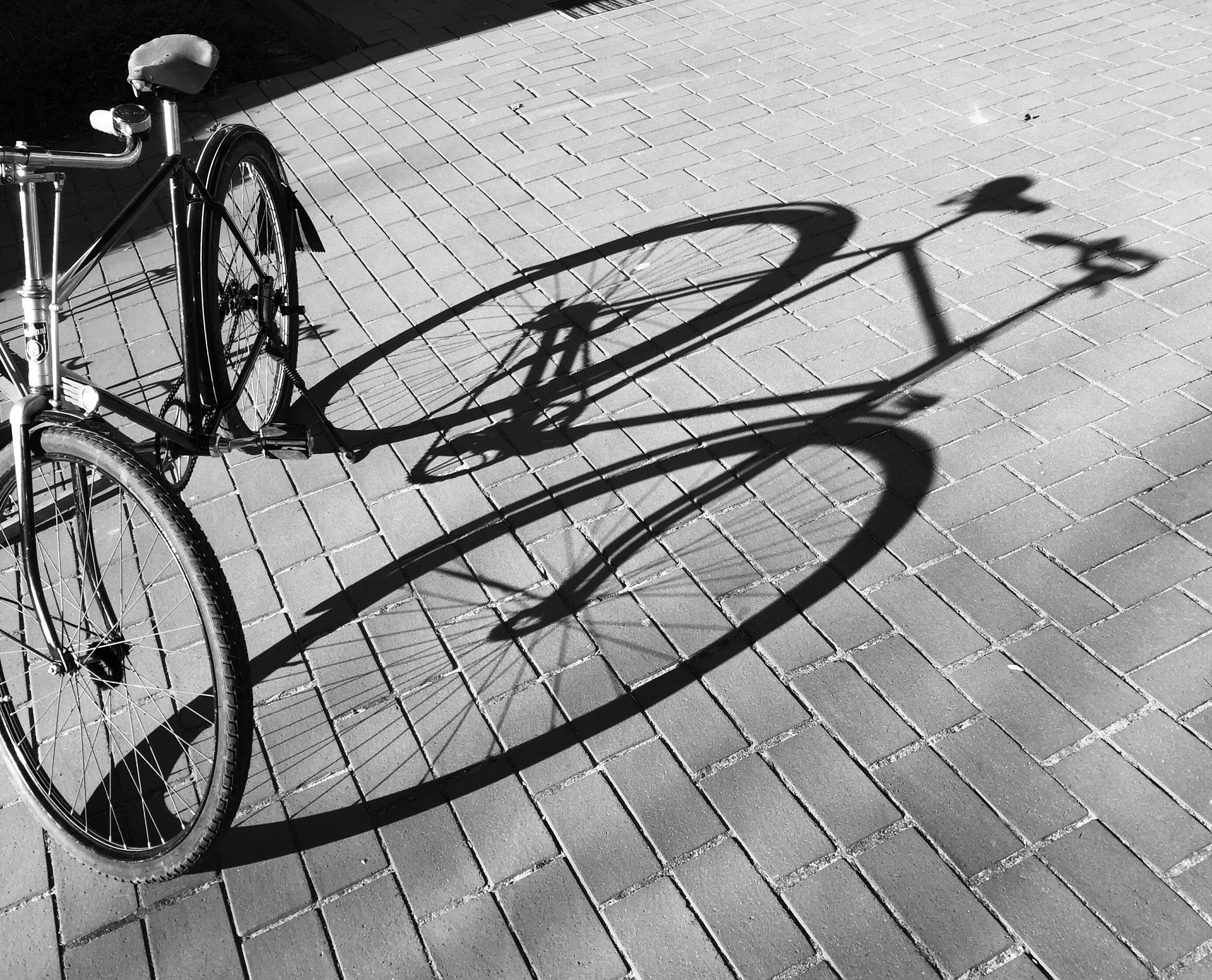 自行车：历史、益处、与实践认知的联系