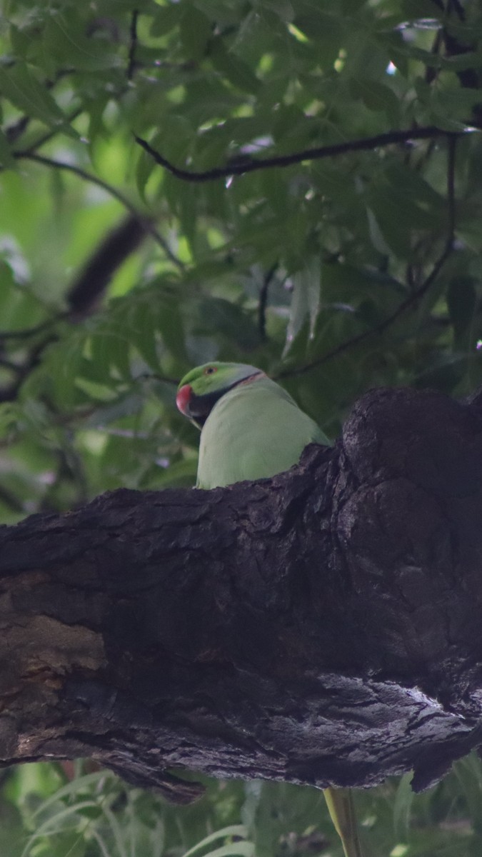 具体的北京游玩的攻略包括时间交通住宿等