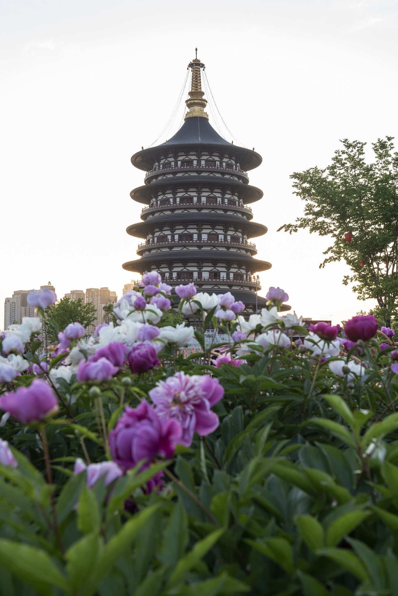 请洛阳市发展现状方面给论文《洛阳市旅游业发展现状及对策研究》写一个三千字的旅游收入情况