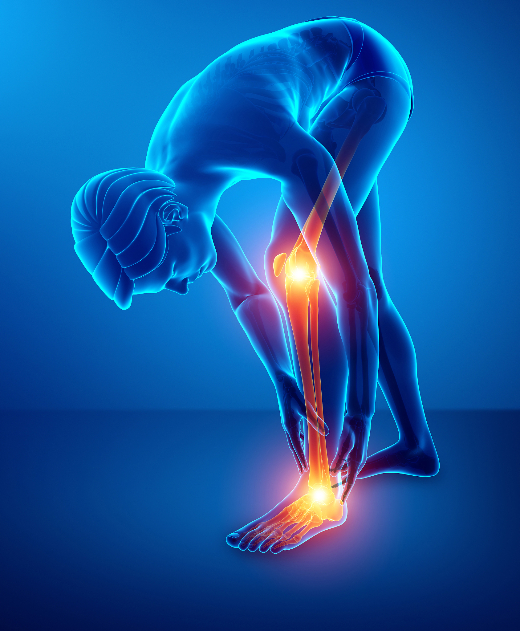 男性与女性生理结构的差异：从体型到器官功能