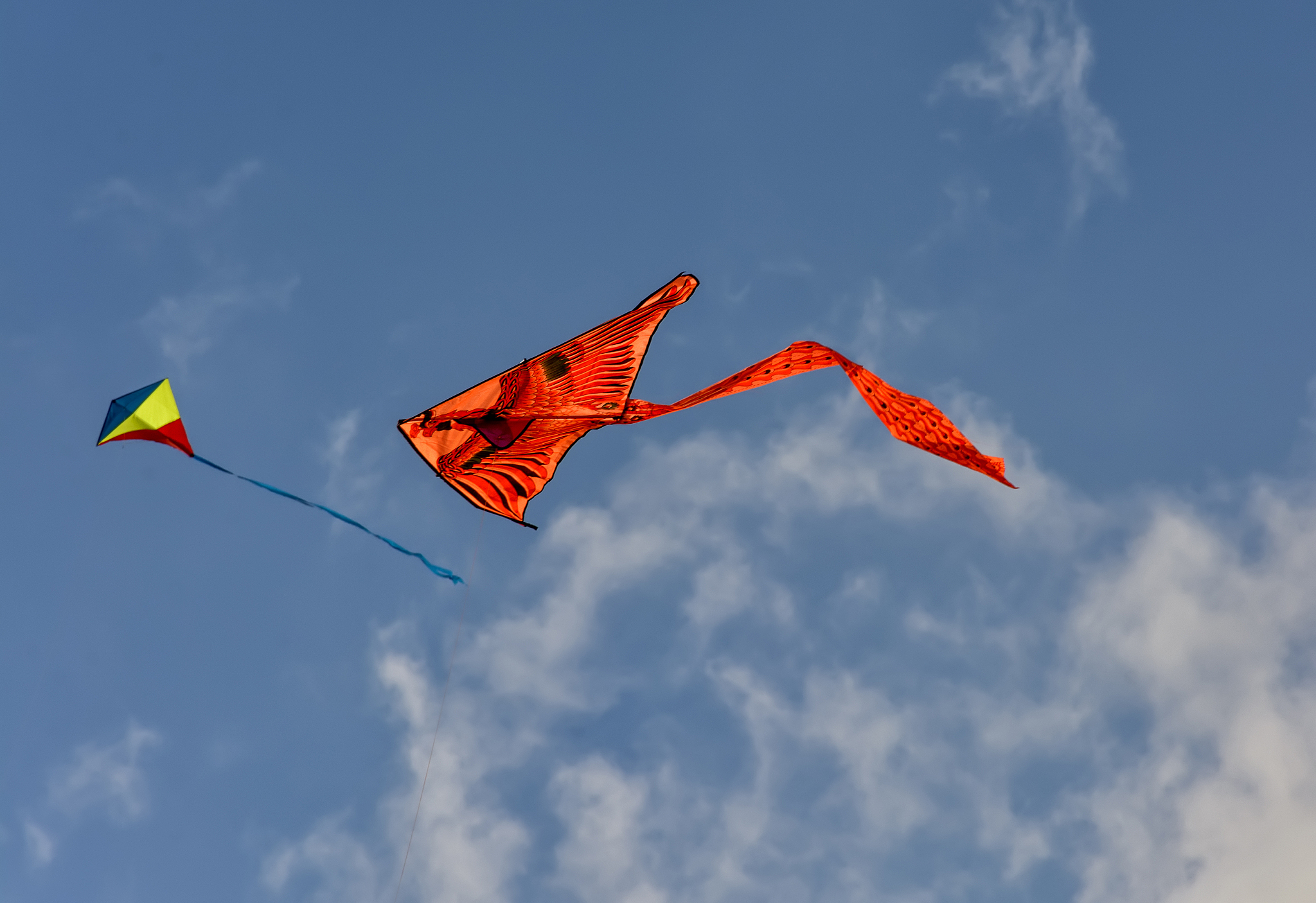 kite, aircraft, held from the ground with the help of a rail and