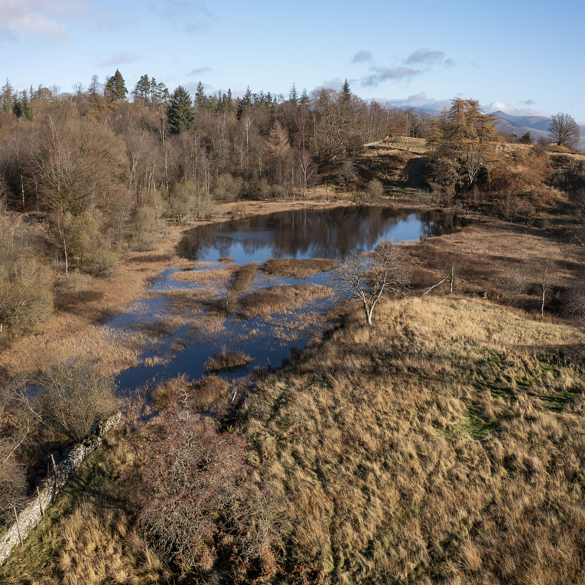 威海商业学校2019年招生专业有哪些？