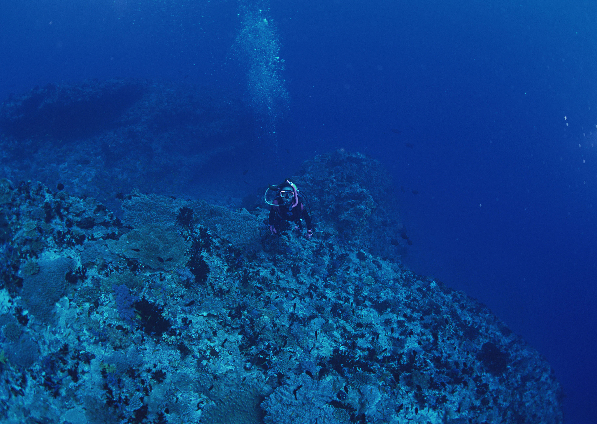 diving