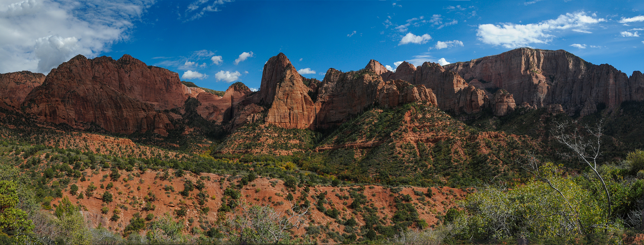 益阳卫生职业技术学校2022年招生简章