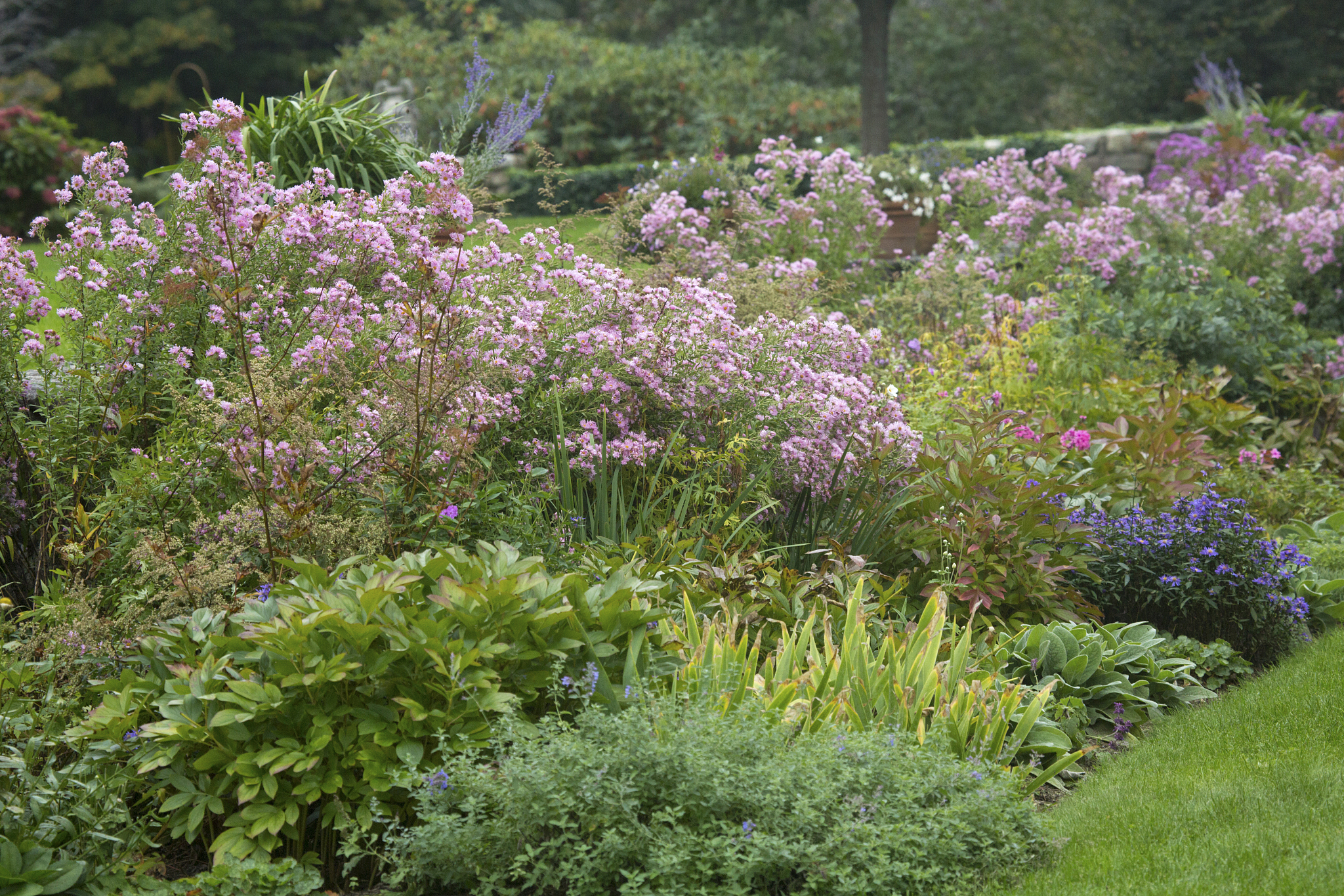 生态学原理生态学原理是指生态学的基本概念、理论和规律包括以下方面：1 生物多样性原理：生态系统的多样性对于其稳定性和健康性至关重要。2 生态位和资源分配原理：每个物种在生态系统中占有独特的生态位它们之间通过资源的分配来维持生态平衡。3 食物链和食物网原理：生态系统中的生物之间通过食物链和食物网相互关联形成复杂的生态系统。4 营养转化和能量流动原理：生态系统中营养物质的循环和能量的流动是维持生态平衡
