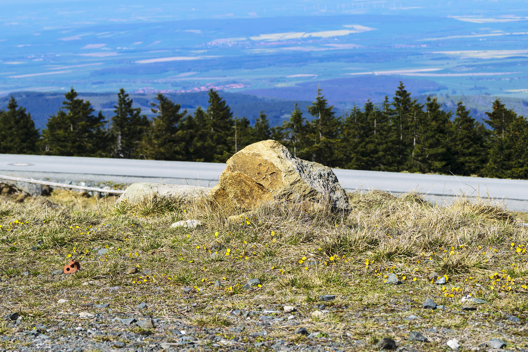 超越LSTM-CNN：利用多时间尺度微分增强特征提取
