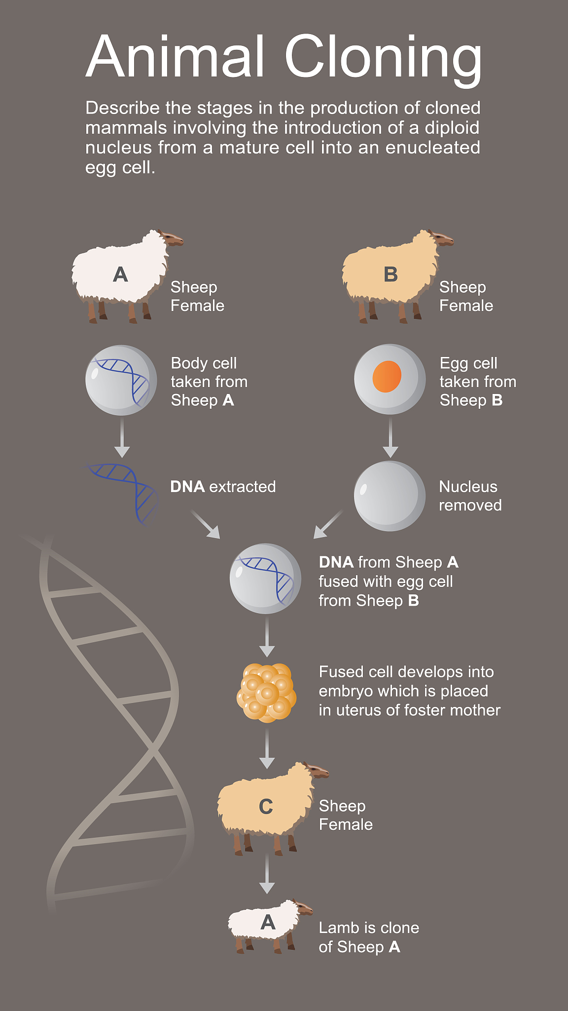 However these derivative algorithms based on recurrence characteristics are still inadequate for evaluating multivariate signals which can only provide the overall coordinating parameter of muscles bu