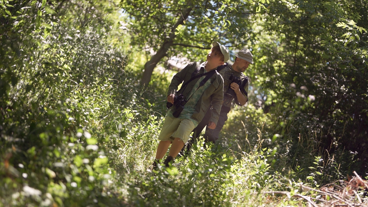 写一编5000字左右的内容来描绘荒野求生的观后感