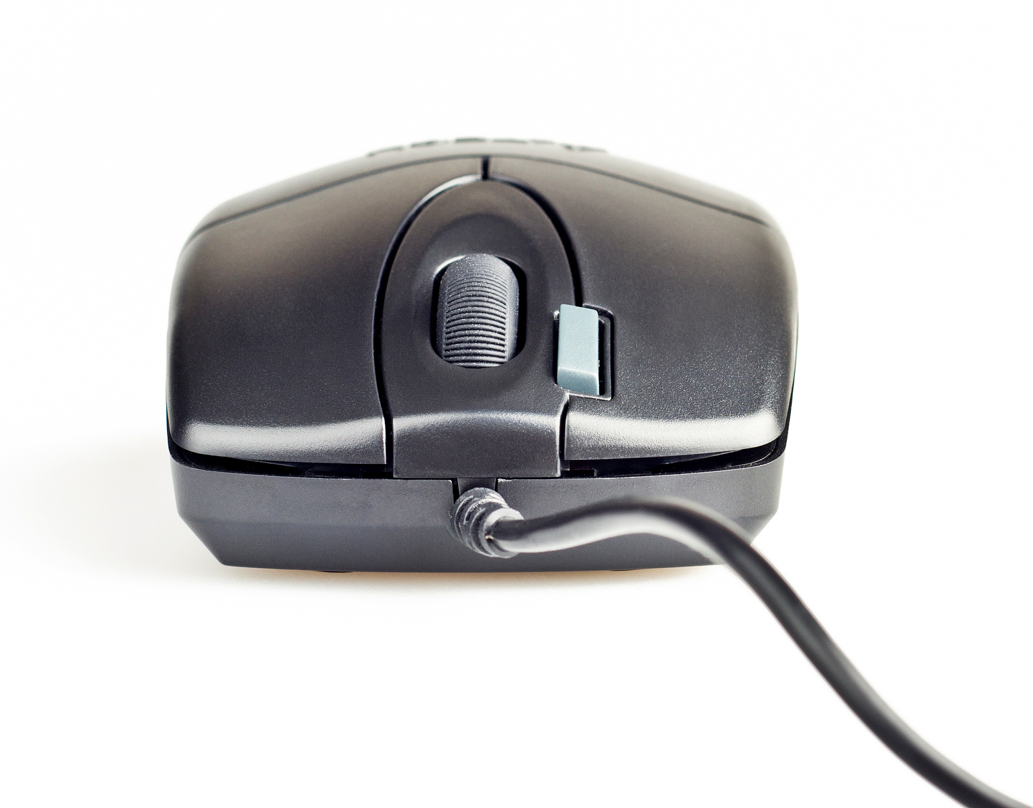 丹麦国王哈拉尔蓝牙王：Berserker 英灵设定