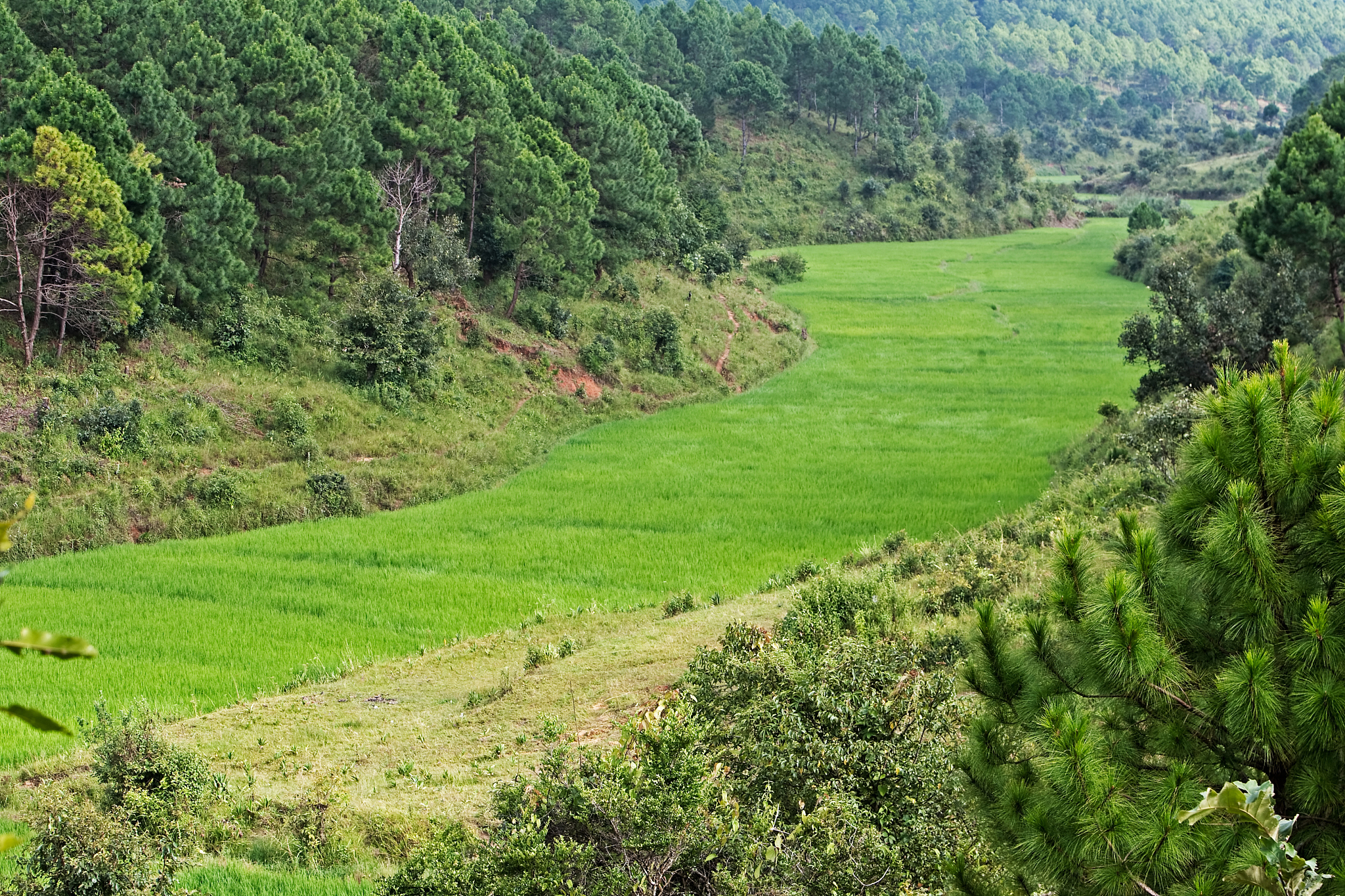研究乡村人口迁出对生态脆弱地区植被覆被的意义是什么