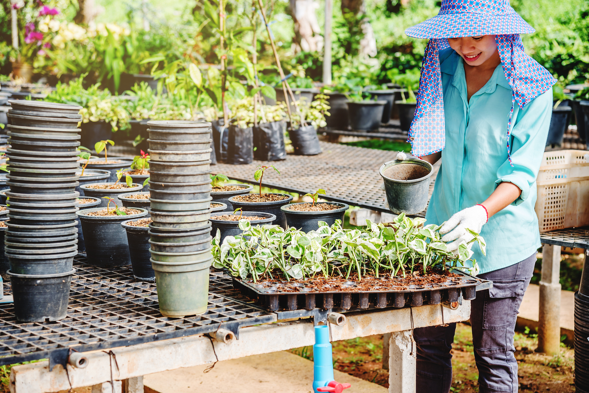 江西农业工程职业学院畜牧兽医专业如何好学吗
