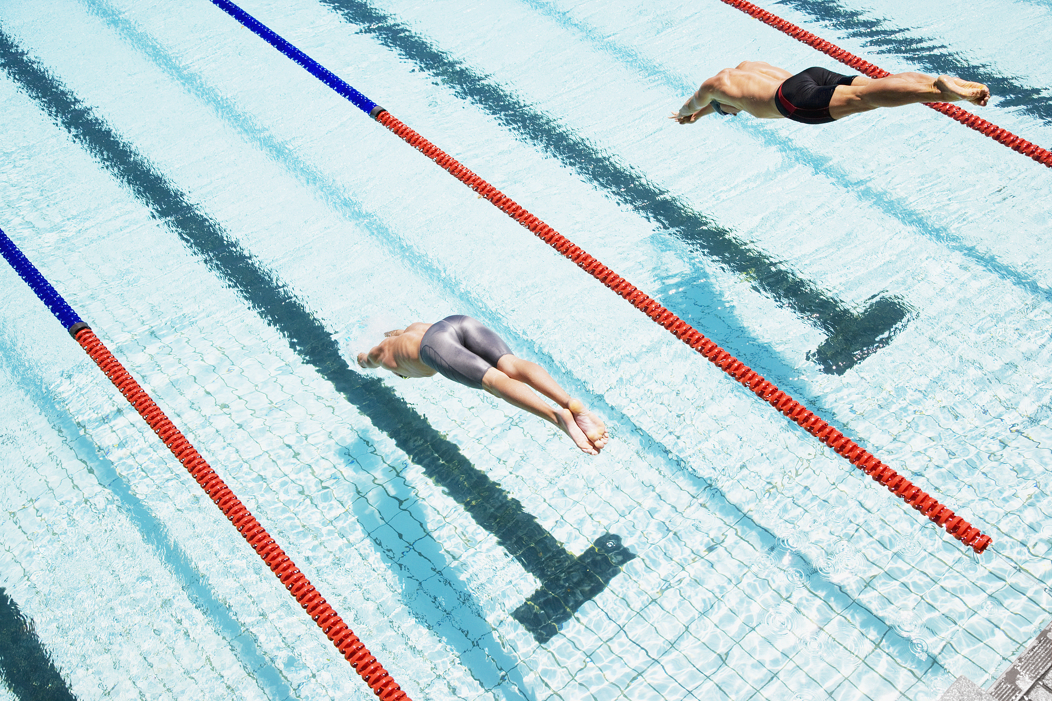 观察夏日小狗的特点写一篇二年级日记