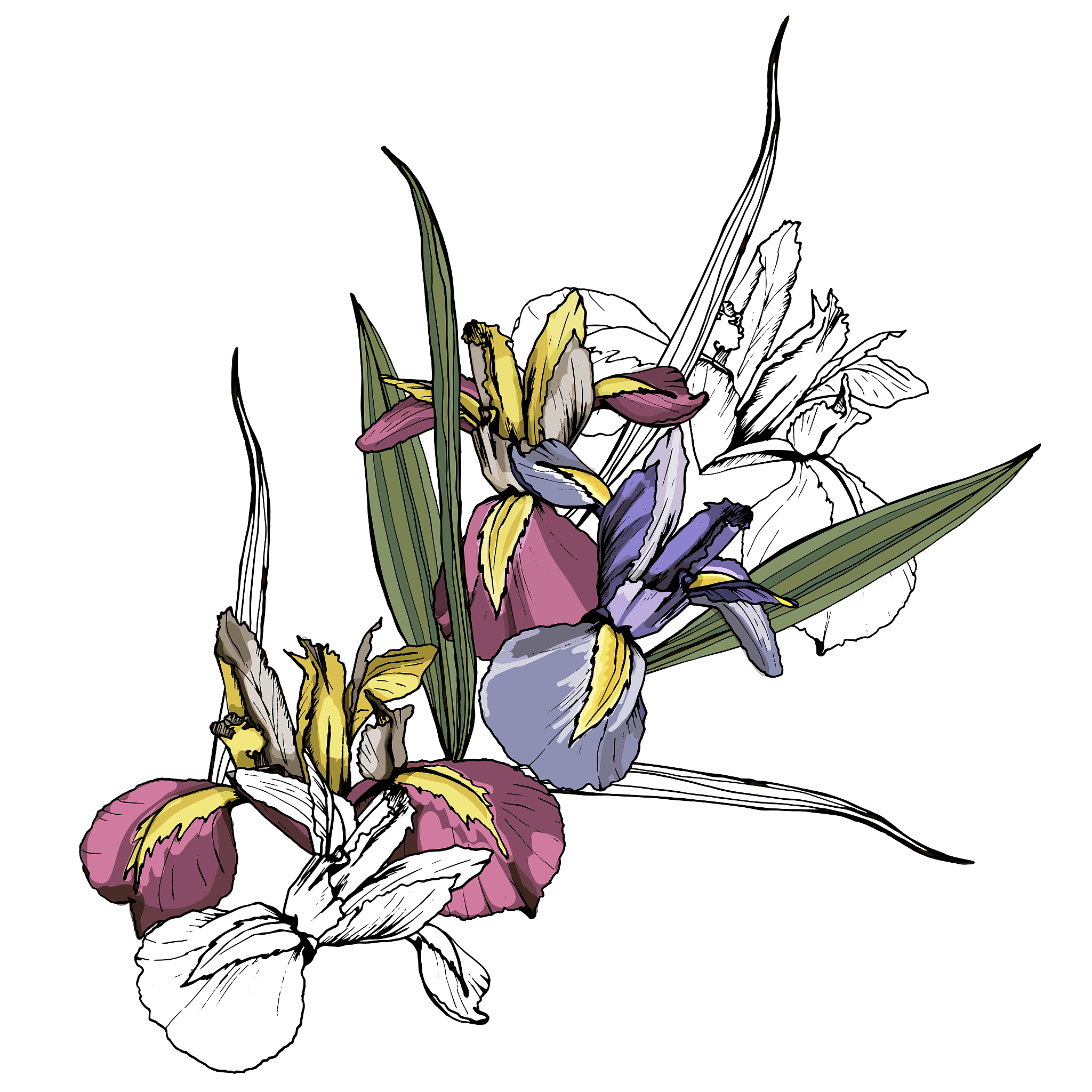 原神中温蒂是风神吗