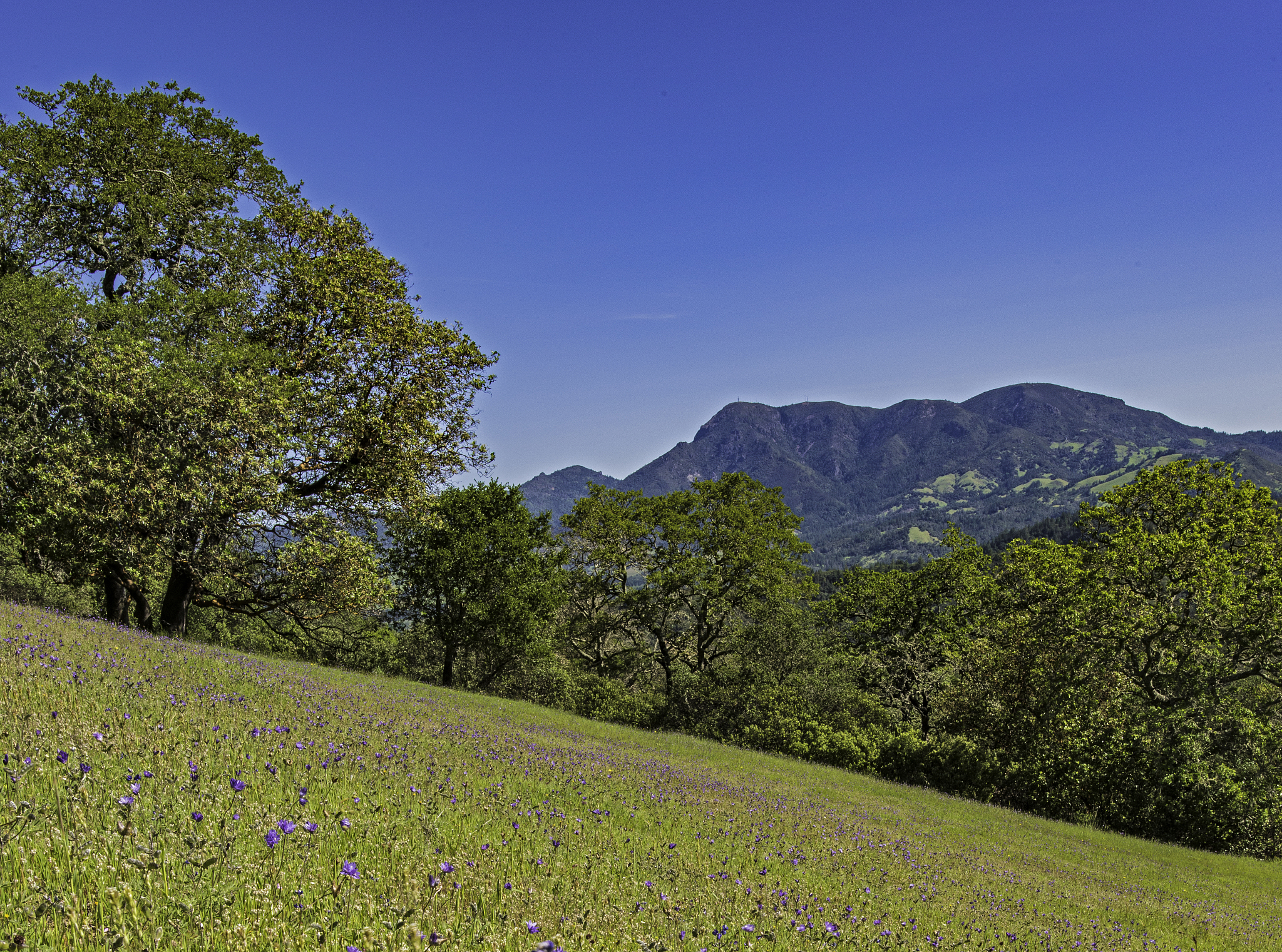 广州轻工职业学校2023年招生专业有哪些