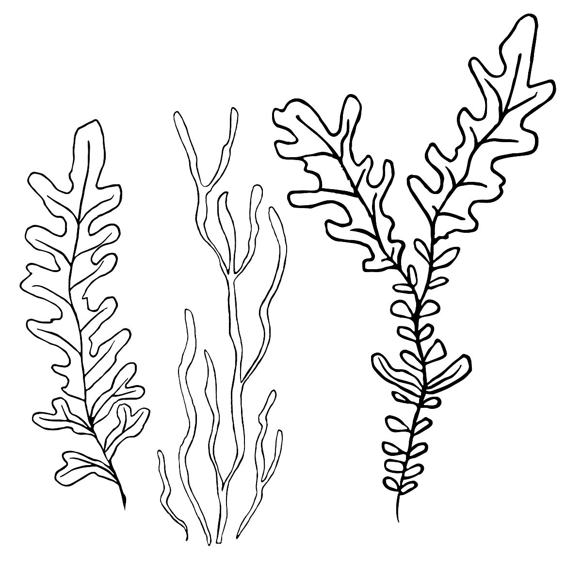 土壤水分计算：贮水量、有效水贮量和最大有效水储量