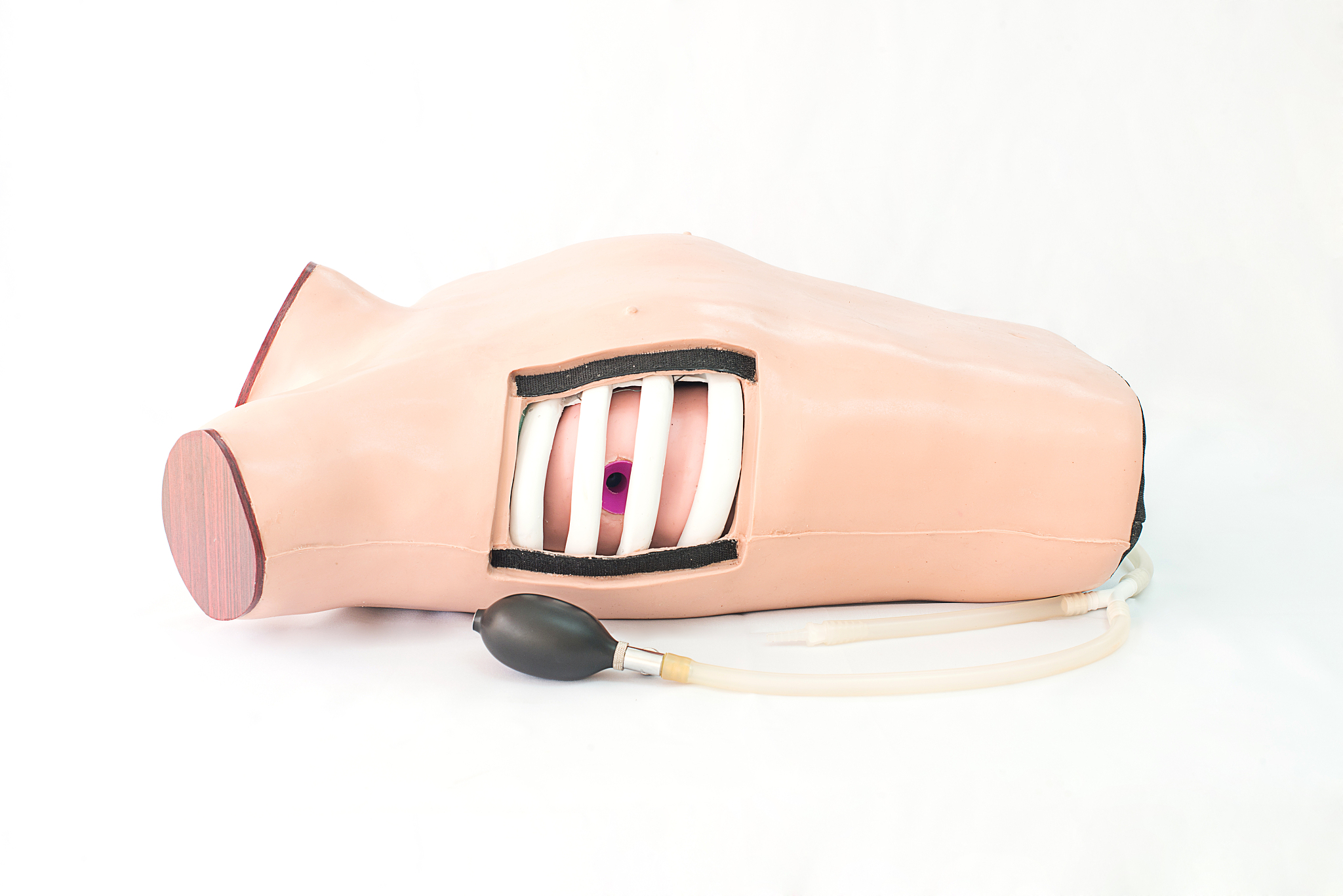 medical model