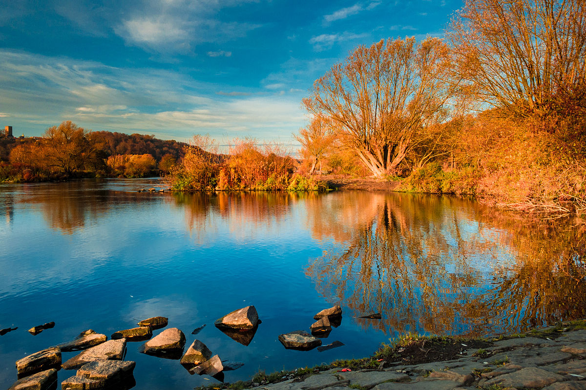禾木秋景：白桦金黄，河流碧蓝，如诗如画