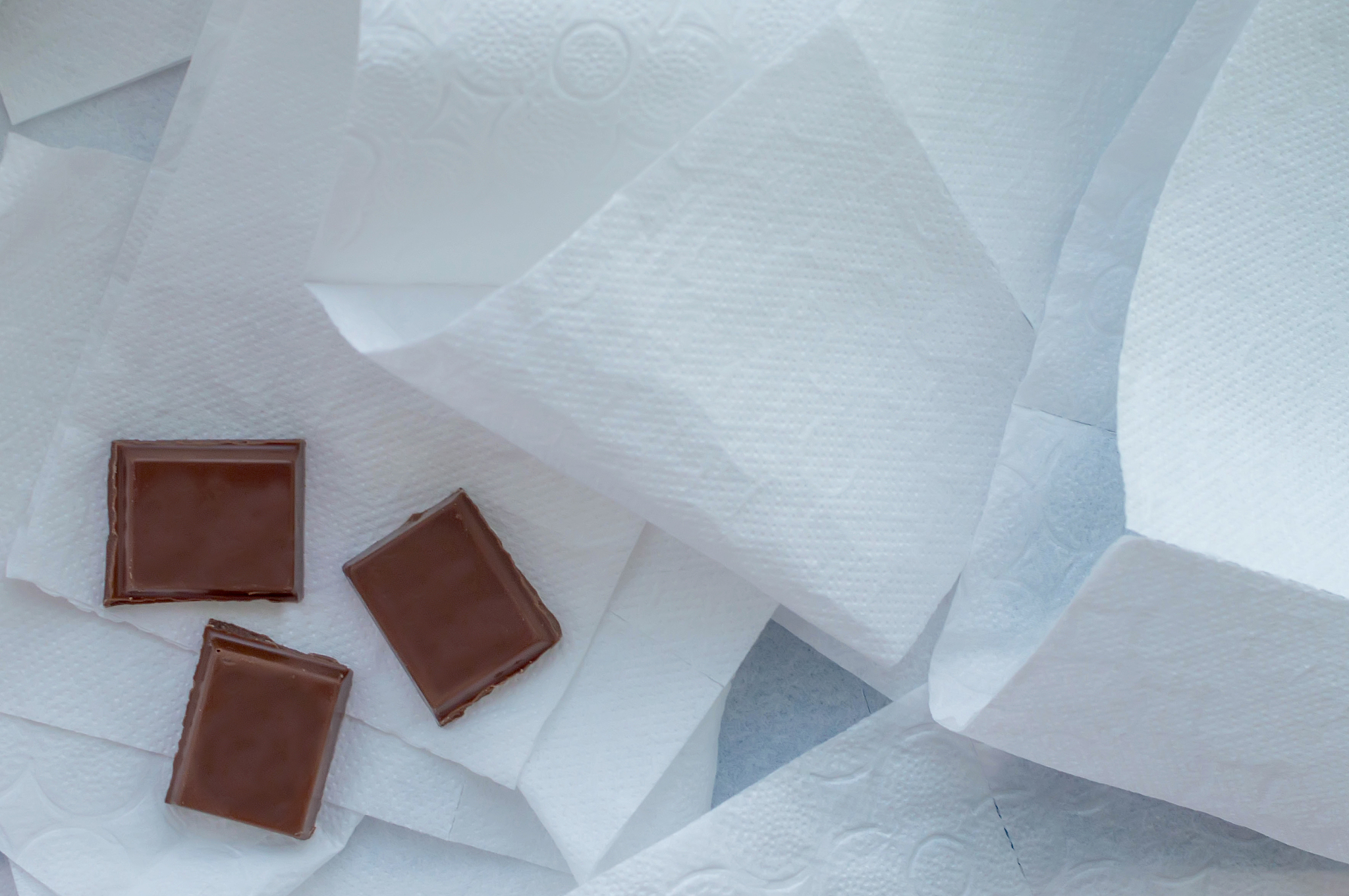 the concept of dification. chocolate on the toilet paper. the vi