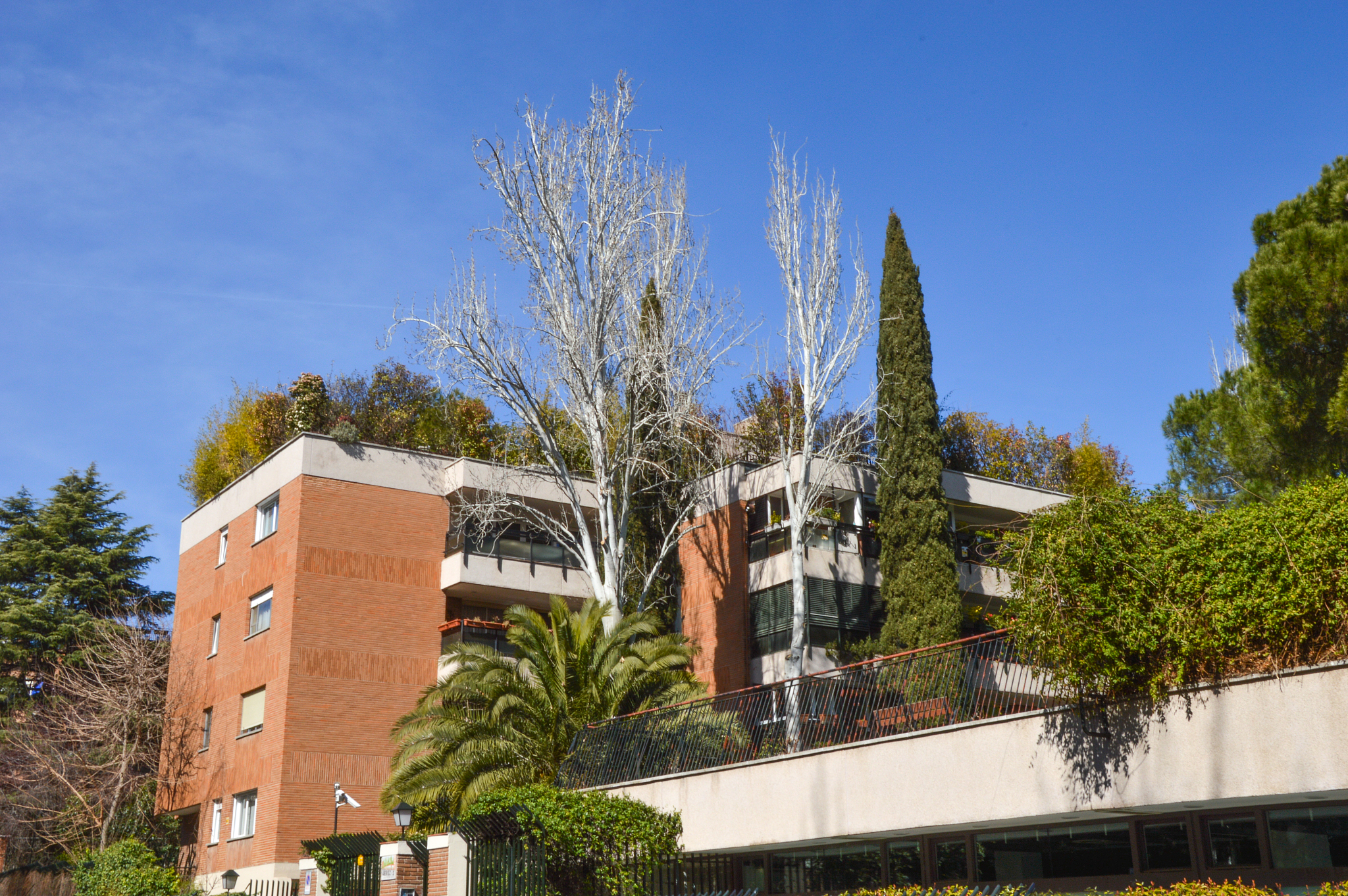 modern building