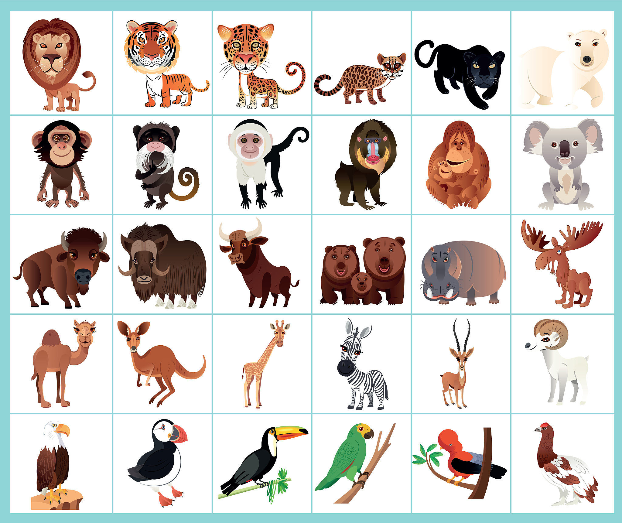 10 Common Small Animals & Their English Names