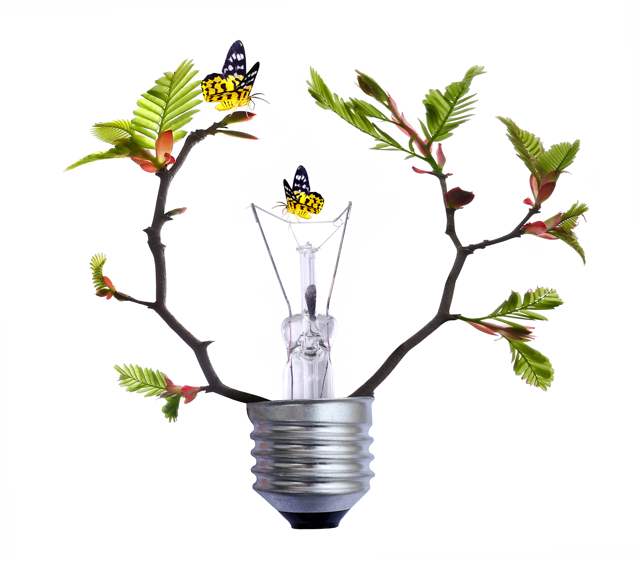 化学文献翻译：Since Honda and Fujishima firstly discovered the PtTiO2 electrode could be used to complete the water splitting reaction to generate H2 utilizing artificial photosynthesis producing solar hydro