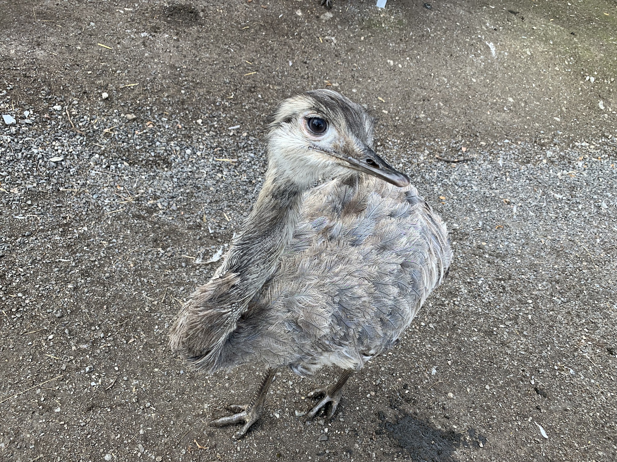 云南农业大学动物科学专业怎么样