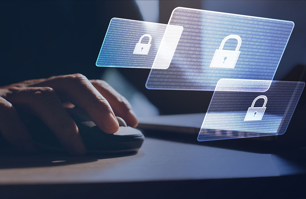 石家庄校园惊现'狼群'? 揭秘视频背后的真相让人震惊!