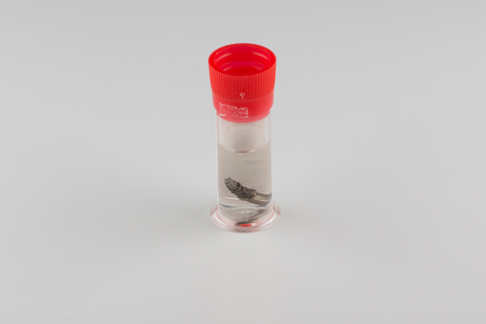 德阳卫校2022年招生要分数吗？招生政策解读